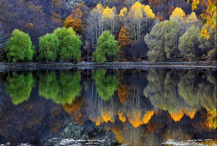 Barwy jesieni - Obraz10.jpg