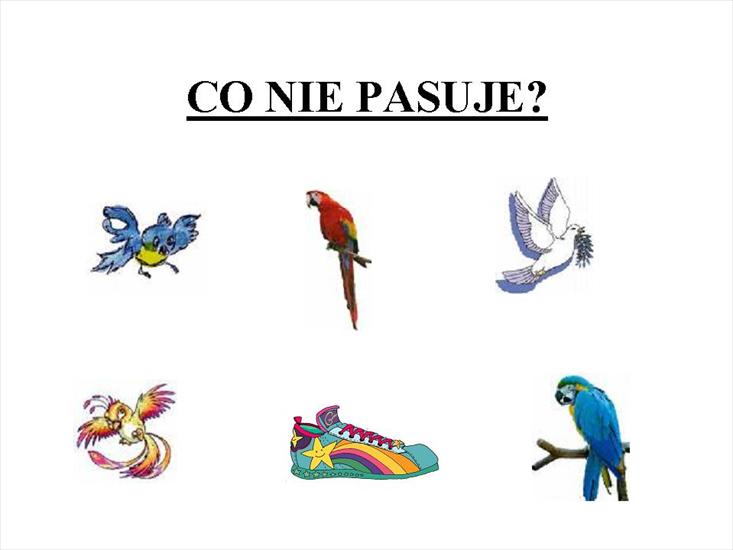 Co tu nie pasuje - co nie pasuje 4.jpg