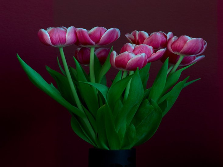 Bukiety z bzu i tulipanów - bukiet 1 171.jpg