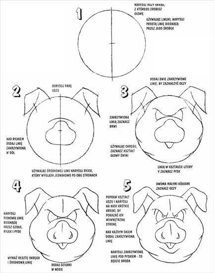 Jak narysować - głowa świnki.jpg