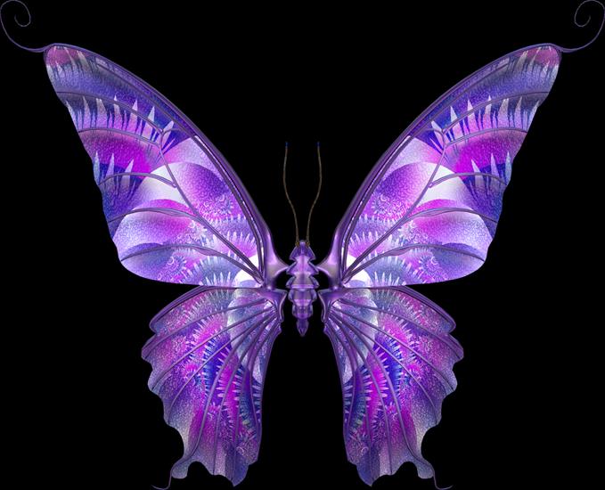 motyle - klipart_butterfly 15.png