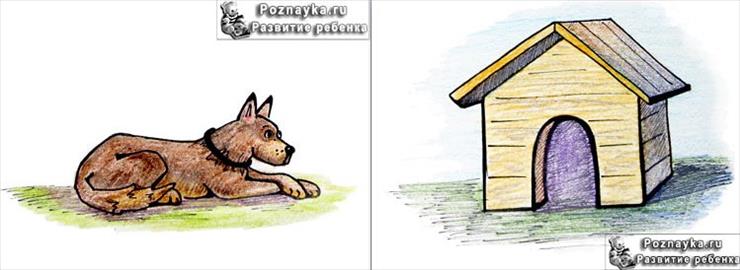 zwierzęta i ich domy - dom psa.jpg