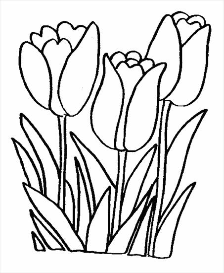 Kwiaty - tulipan.gif