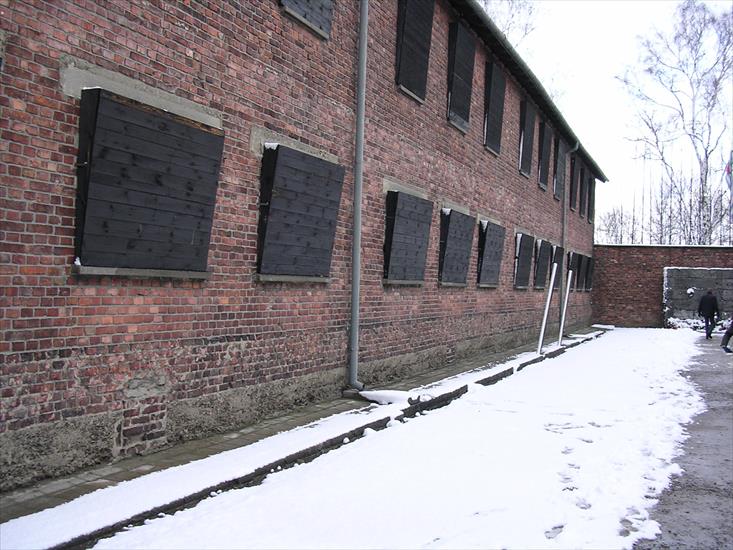 Auschwitz - Birkenau - 08 et 09.02.2004 - 082 - Auschwitz-Birkenau.jpg