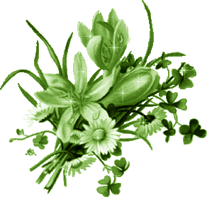 Kwiaty1 - ChomikImage 2.jpg